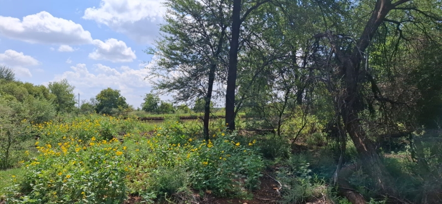 4 Bedroom Property for Sale in Jan Kempdorp Rural Northern Cape